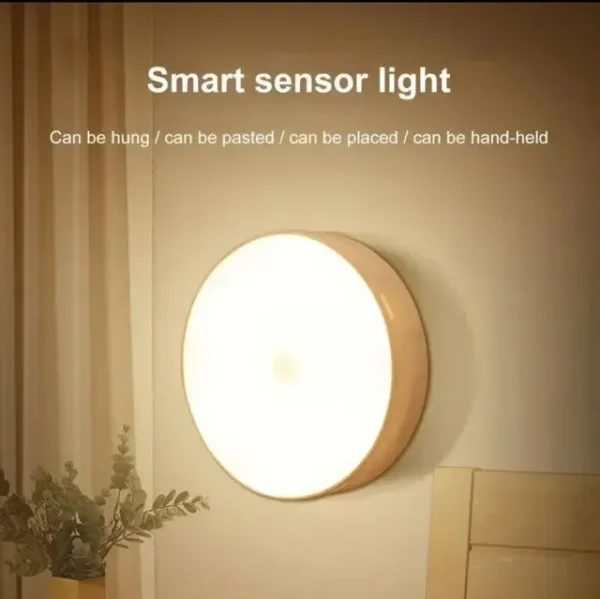 Motion Sensor Light - Image 2